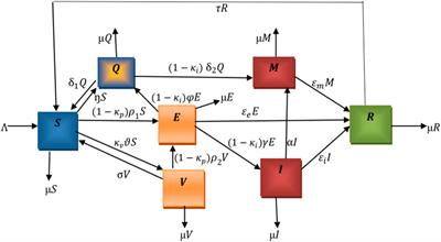 Cost–benefit analysis of the COVID-19 vaccination model incorporating different infectivity reductions